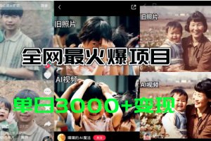 (11546期)全网爆火的AI让老照片动起来教程,蹭热点日赚3000+,内含免费工具一键…