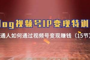 (11654期)Vlog 视频号IP变现特训营,普通人如何通过视频号变现赚钱(15节)