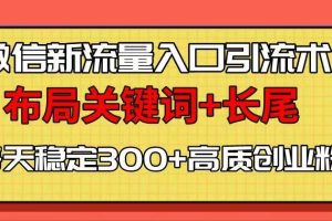 (13897期)微信新流量入口引流术,布局关键词+长尾,每天稳定300+高质创业粉!