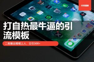 (13654期)打自热最牛逼的引流模板,二剪搬运嗖嗖上人,日引300+