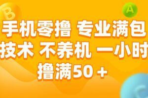（15059期）手机零撸 专业满包技术 不养机 一小时撸满50+